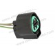 Conector 3V Bobina Atos Macho 